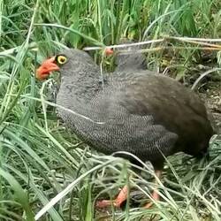 Besuch in der Küche