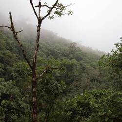 Wetterumschwung --> Rückzug