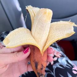 crvena banana