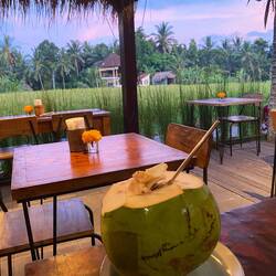 Täglich grüßt die Kokosnuss 🥥🌴😋