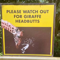 Be aware of head-butting girafes. This is a real sign from the giraffe centre 😁