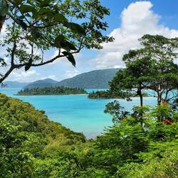 View in Shute Harbor