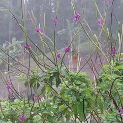 Der hat es heute echt nicht leicht...