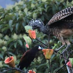 Schlechte Bedingungen für Fotos, aber haben es heute immer mal wieder versucht...