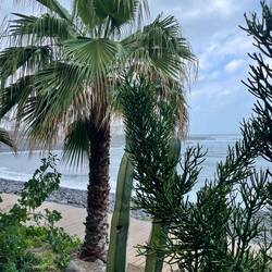 Ein Stückchen blauer HImmel ist zu sehen!