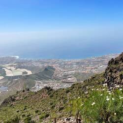 Im Kraterkegel wird Obst und Gemüse angebaut.