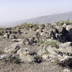 180 Grad-Video in Richtung Teide