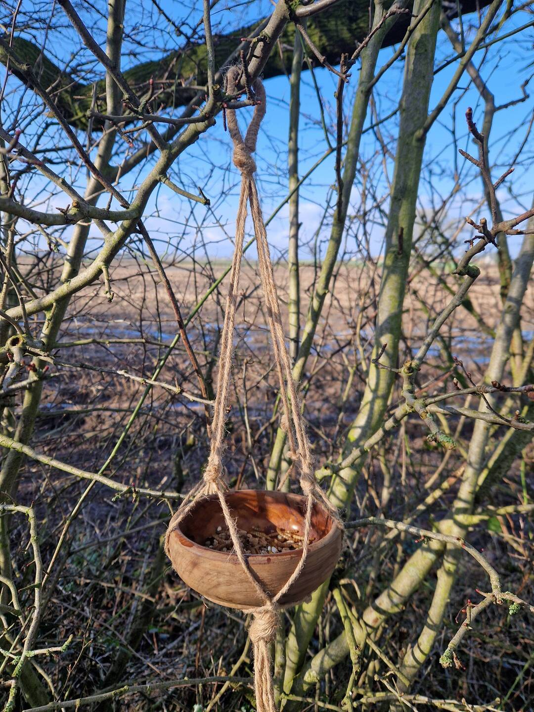 Vicky used some old jute to hang a bowl of bird food.