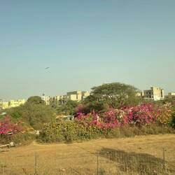 The toad back to Dakar and half built houses