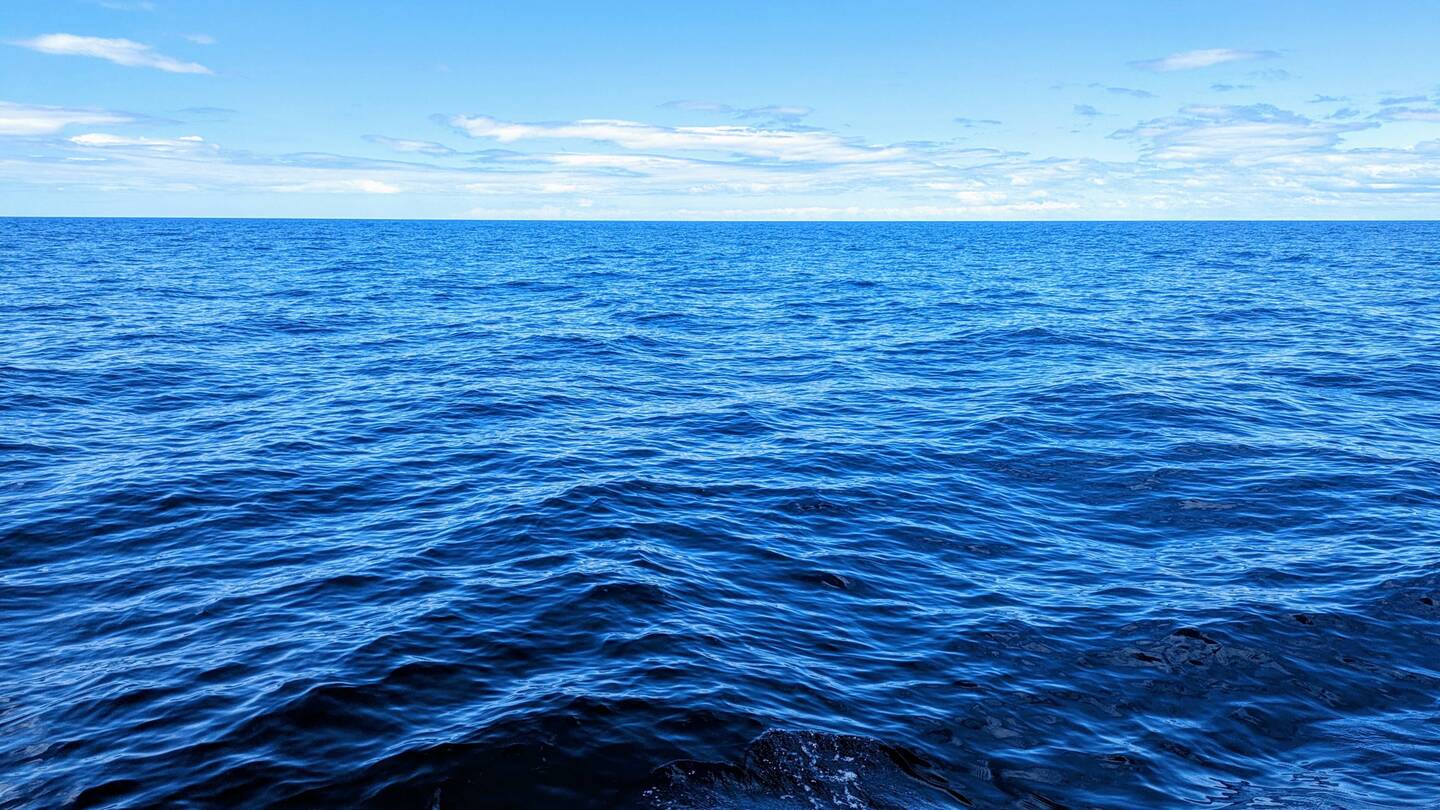 Back to the blue