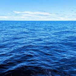 Back to the blue
