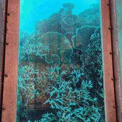 Picture Through Glass Bottom Boat