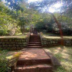 Diese Treppe im Garten durfte er alleine besteigen
