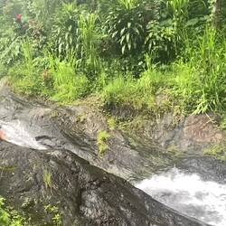 Alle vier zusammen 🤪🫣