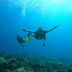 A and J just floating/flying along