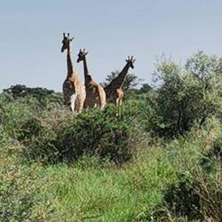 Wir standen fast daneben