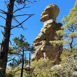 Looks like a meditator