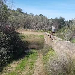 Ohne Brücke geht's durchs Wasser