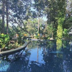 Pool at breakfast