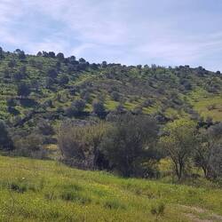 Wirmögendassehrgerne