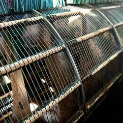 Sorting by size, biggest is best