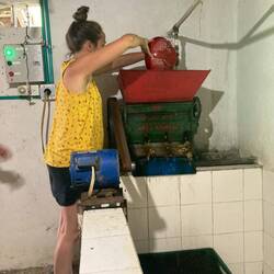 Mélissa passe le café dans la machine séparant la pulpe du grain