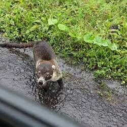 Die Lungern hier an jeder Ecke herum