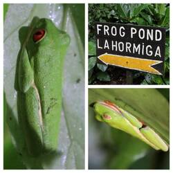 ...Teich, wo wir erfolgreich paar Frösche vom schlafen abhalten😅