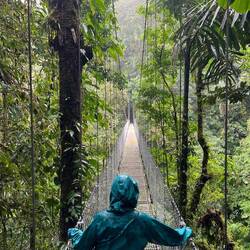 Theoretisch hätte man von den Brücken aus den Vulkan sehen können...
