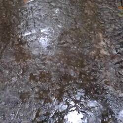 Hier! Es hat kurz mal nur "leicht" geregnet