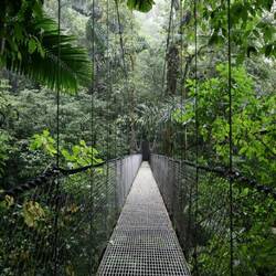 Swinging in the rain...