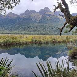 Mirror-Lake