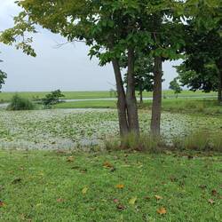 ... unbelievable wide and huge...