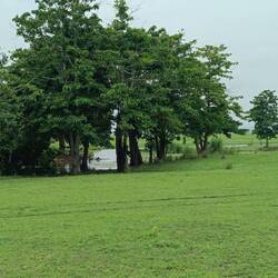 ...how fascinating and...