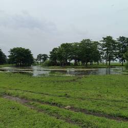 Lake Ira Lalaro's fascinating sump lands