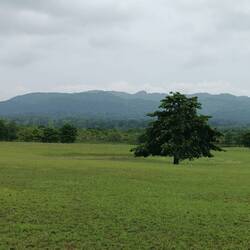 ...with it's natural, untouched nature is.