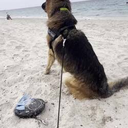 Der moment, wenn man mal 10 Minuten schnell weg ist 😂