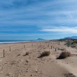 Aber wer schaut schon nach hinten ?