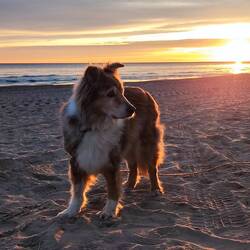 Nila findet es hier auch ganz schön