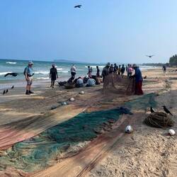 Fischer beim sortieren ihrer Beute