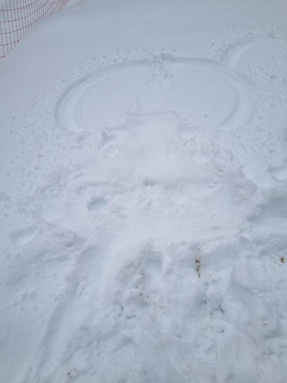 KS's snow angel