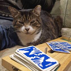 Without power for tv. Strict adjudicator Abby wasn't letting any cheating