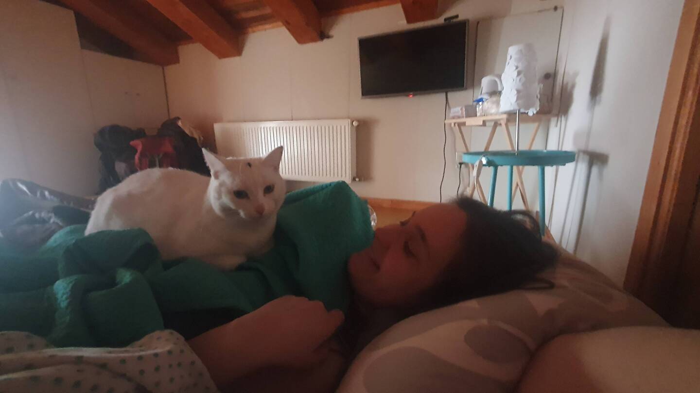 El gato kommt zum morgendlichen Gruß und hebt gleich die Stimmung!