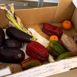 das war an Gemüse übrig nach der Überfahrt. Obst aufgegessen.