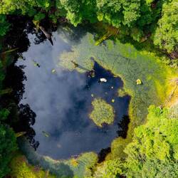 Tarkine Sinkhole