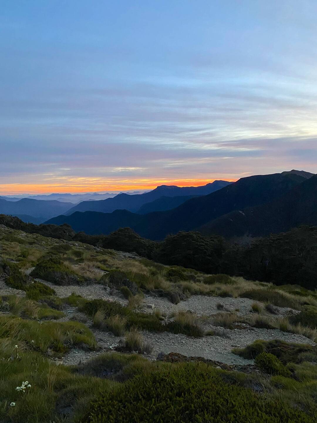 Morgenstund an der Slaty Hut