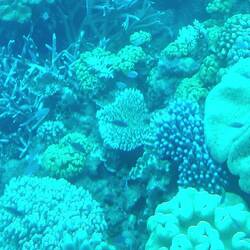 Picture taken from my water protected phone pouch