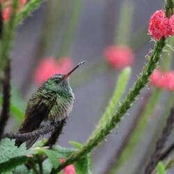 Zum Schluss noch paar Fotos von mehr oder weniger nassen Tieren😅