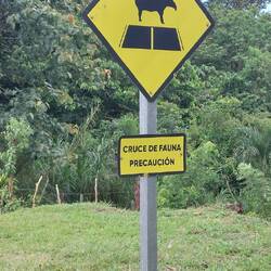 ... die Schilder aber auch!🤔