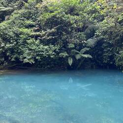 Der ganze Fluss sieht so aus😯